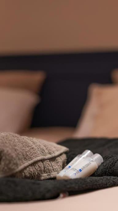 Suite De Luxe Jacuzzi Balneo,King Size Bed Collobrières Eksteriør billede